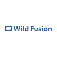 Wild Fusion Digital Marketing Agency in Lagos Nigeria